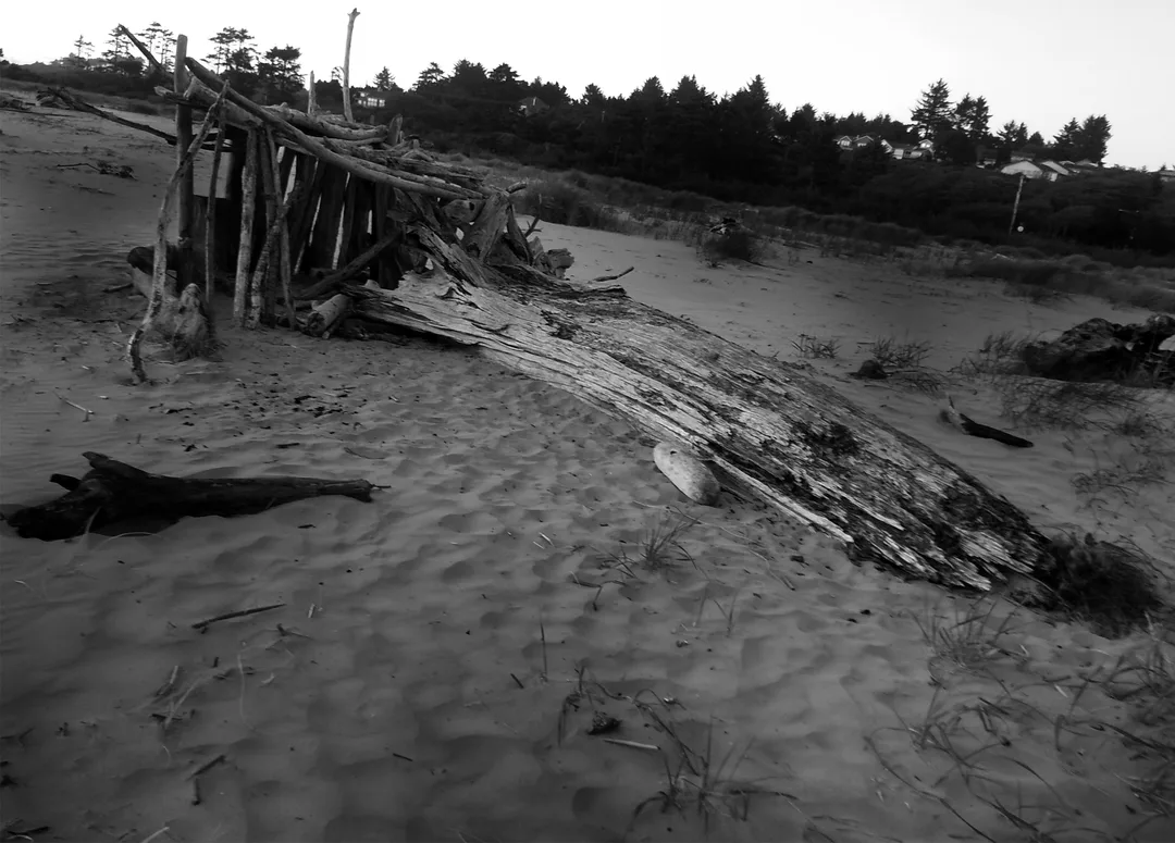 Image description