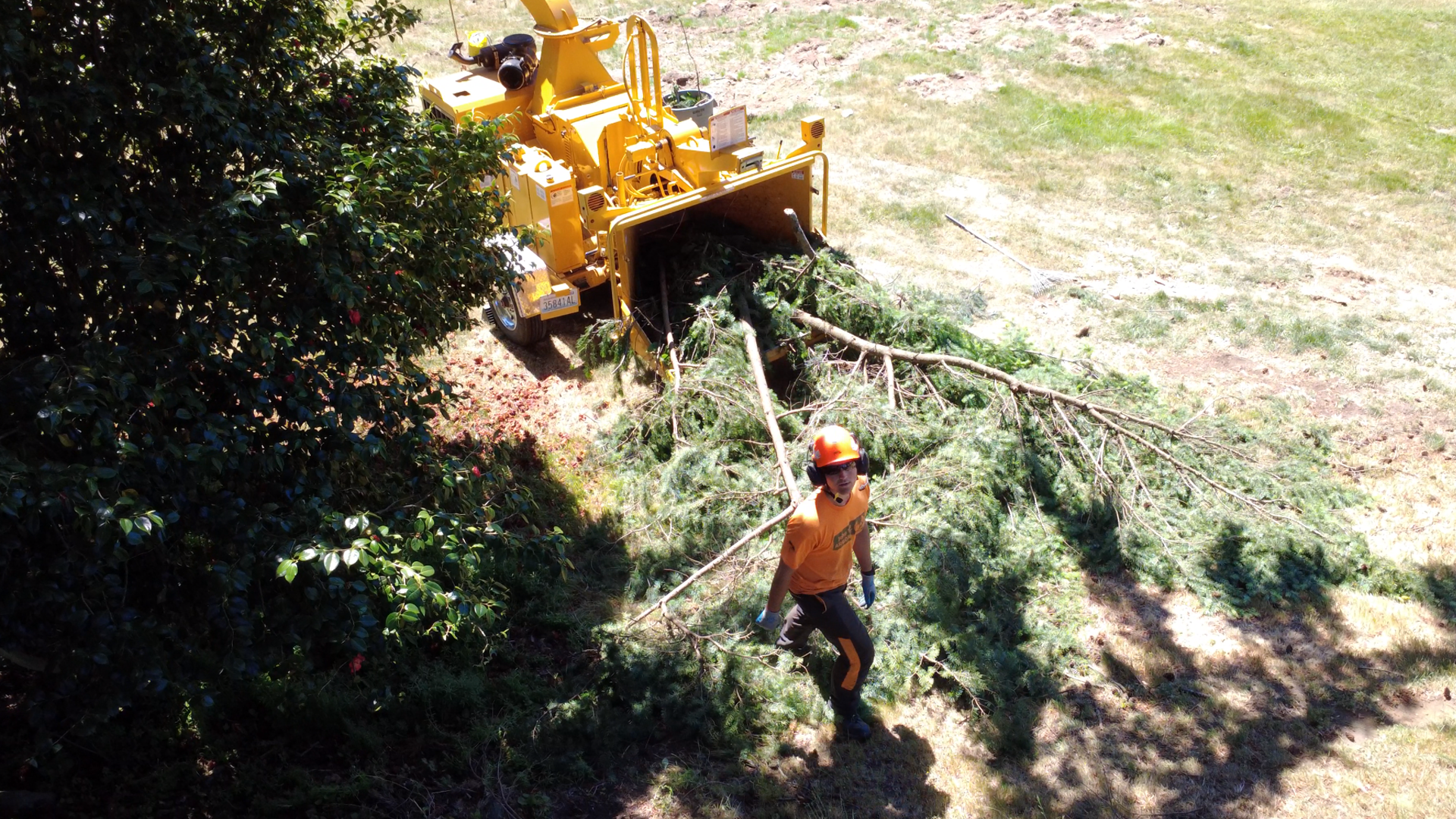 Image description